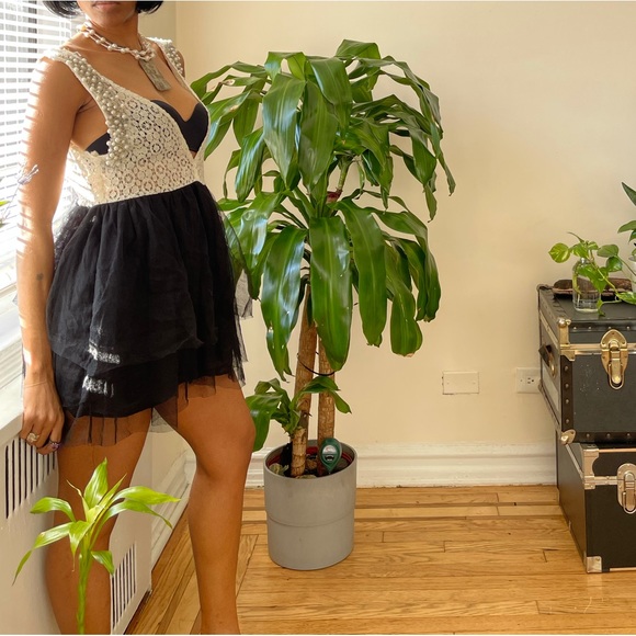 Lace Pearl and Tulle Cocktail Dress - Picture 12 of 12